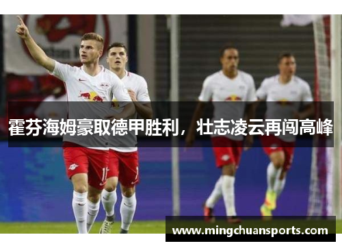 霍芬海姆豪取德甲胜利，壮志凌云再闯高峰